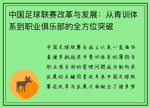 中国足球联赛改革与发展：从青训体系到职业俱乐部的全方位突破